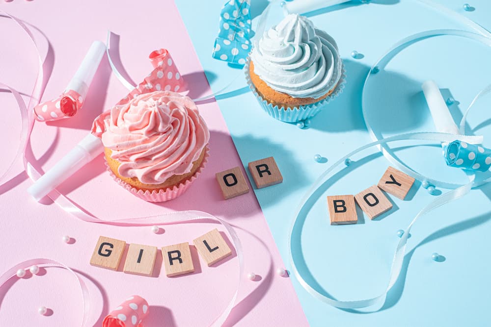 Gender Reveal Themes for Your Special Event