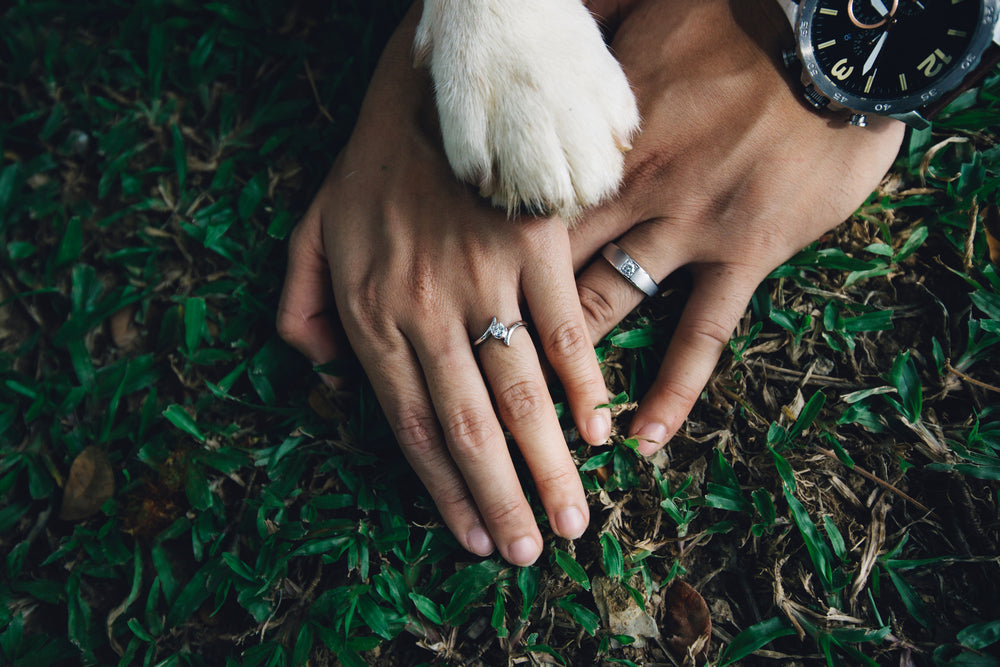 9 Ways to Include Your Pet in Your Wedding (Without Actually Having Them There)